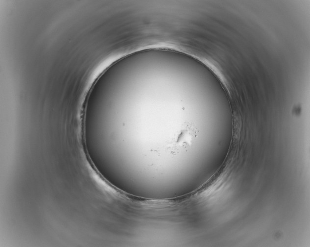 X0000092081151200709121100