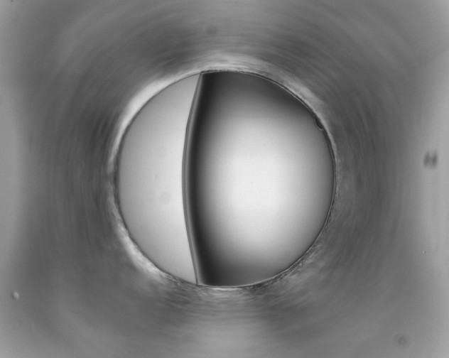 X0000092081152200709121100