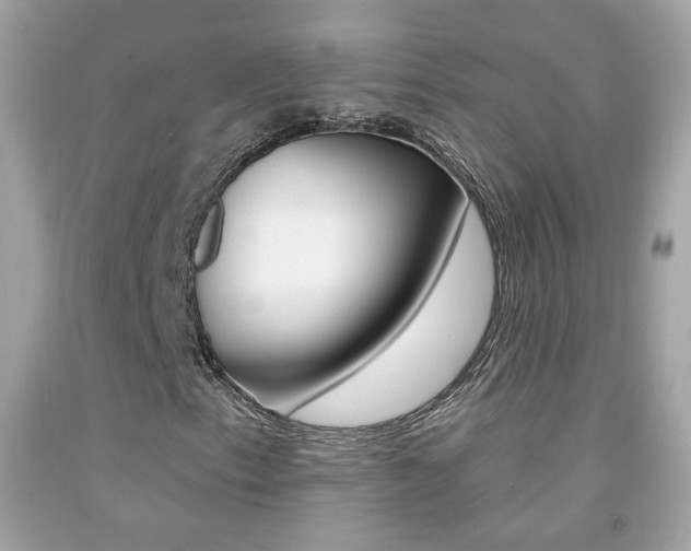 X0000092081153200709121100
