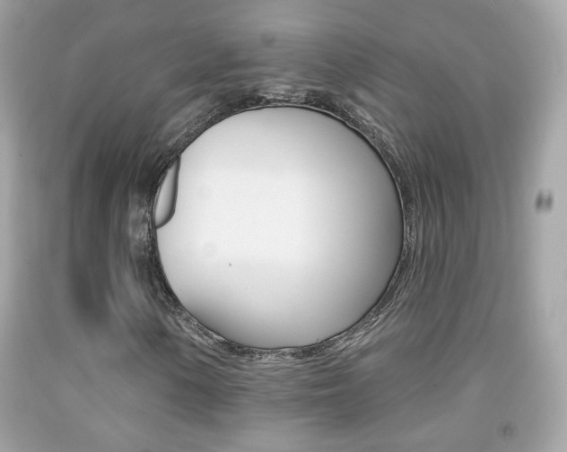 X0000092081154200709121100