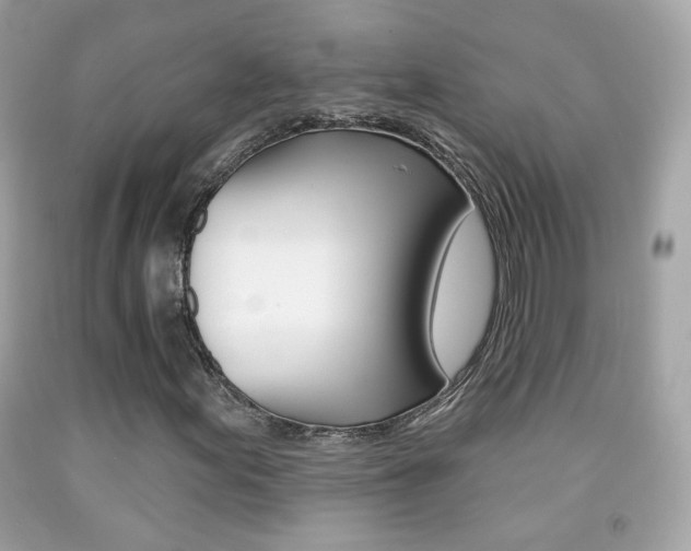 X0000092081155200709121100