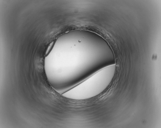 X0000092081156200709121100