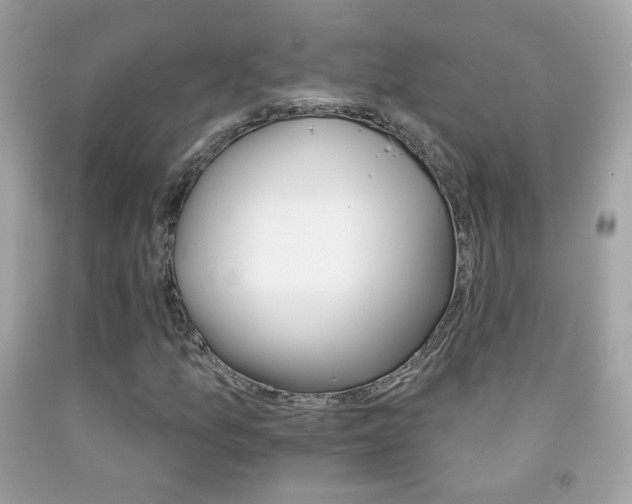 X0000092081157200709121100