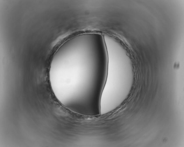 X0000092081160200709121100