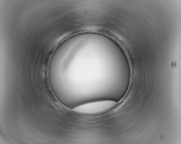 X0000092081161200709121100