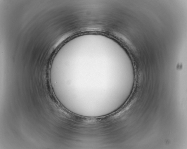 X0000092081162200709121100