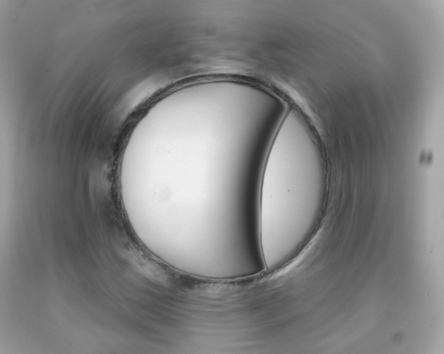 X0000092081163200709121100