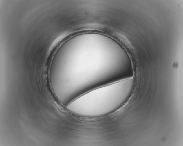 X0000092081164200709121100