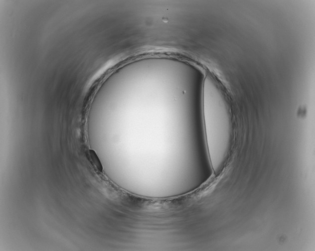 X0000092081165200709121100