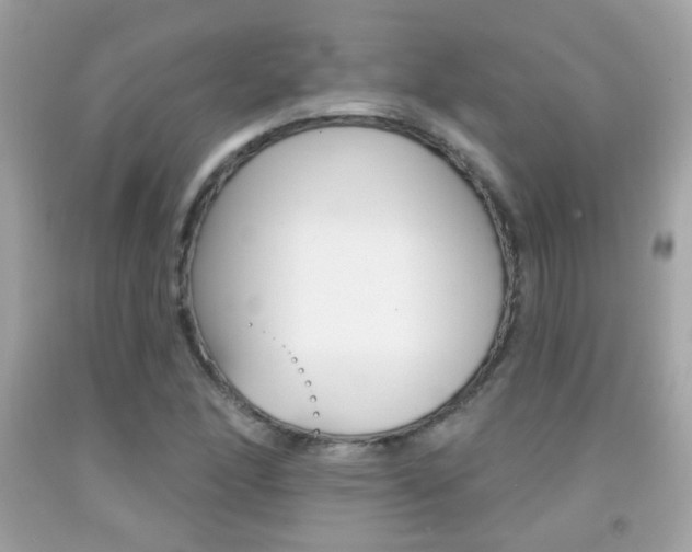 X0000092081166200709121100