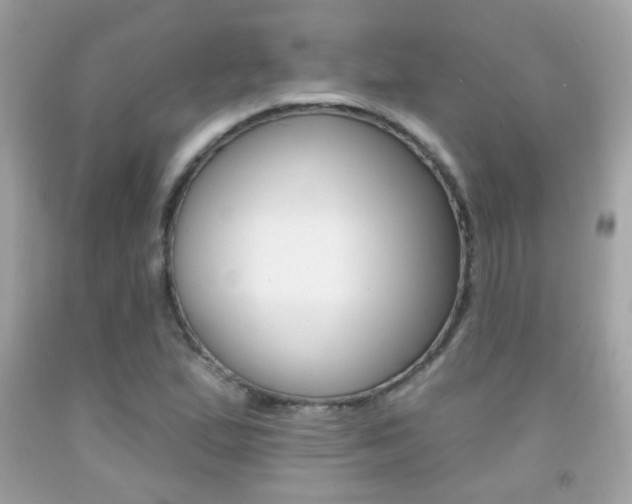 X0000092081167200709121100