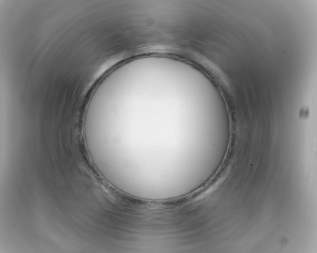 X0000092081170200709121100