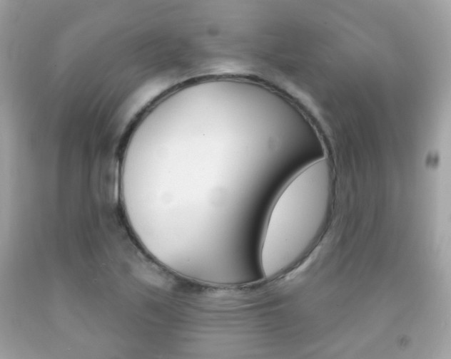 X0000092081171200709121100