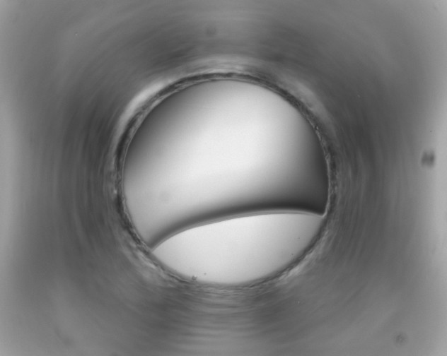 X0000092081172200709121100