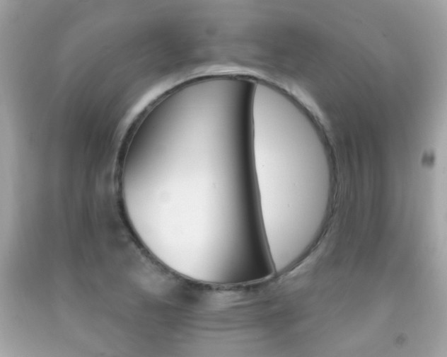 X0000092081173200709121100