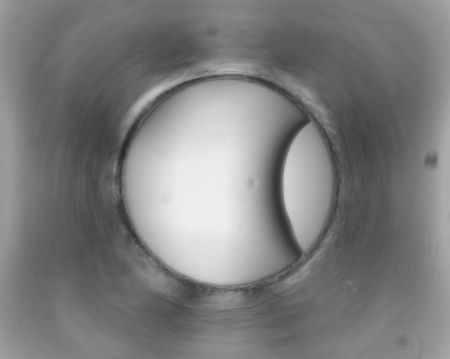 X0000092081174200709121100