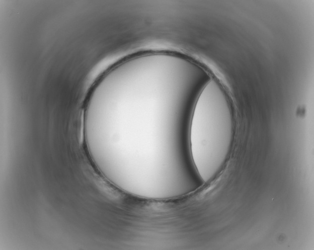 X0000092081175200709121100