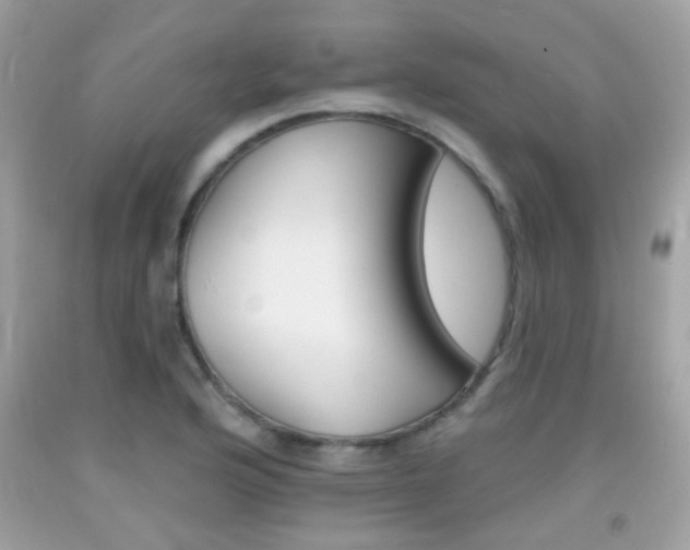 X0000092081176200709121059