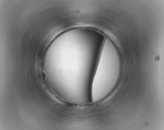 X0000092081177200709121059
