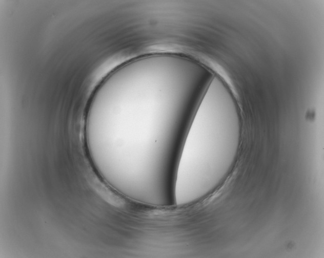 X0000092081179200709121059