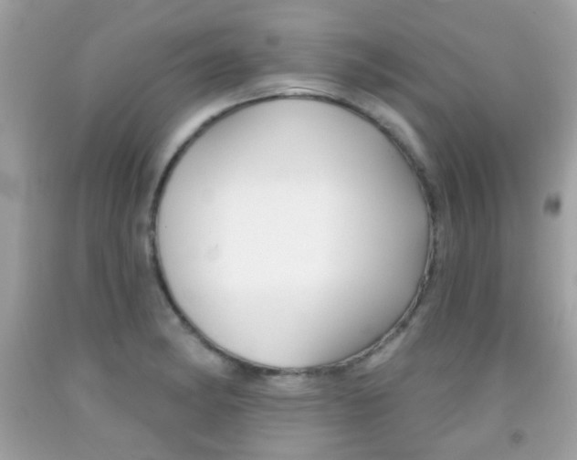 X0000092081182200709121059