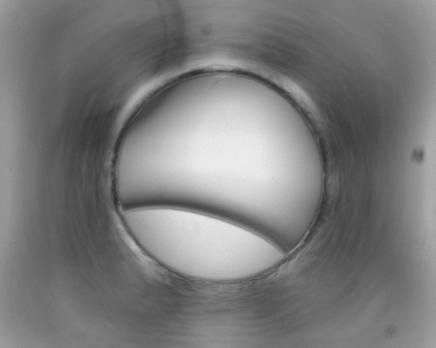 X0000092081183200709121059