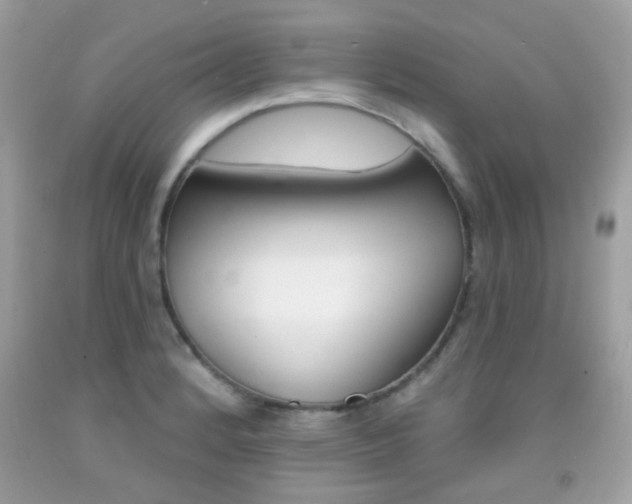 X0000092081184200709121059