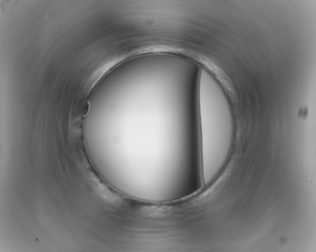 X0000092081185200709121059