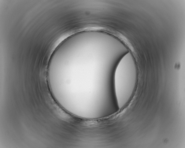 X0000092081186200709121059