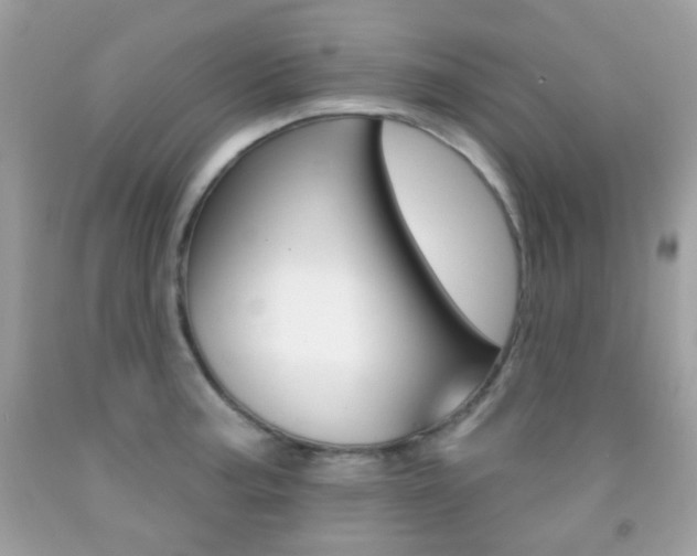 X0000092081187200709121059