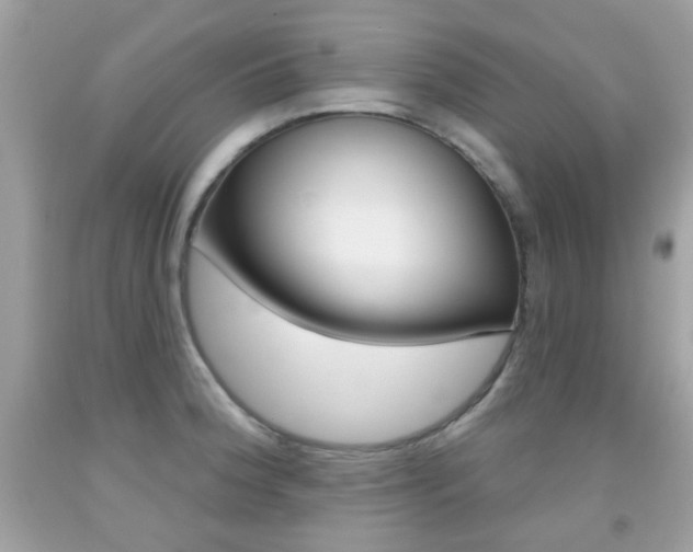 X0000092081188200709121059