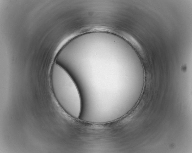 X0000092081190200709121059