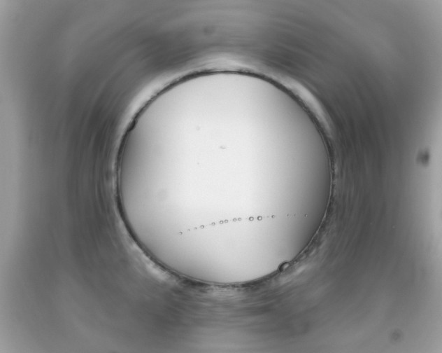 X0000092081191200709121059