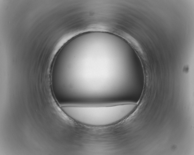 X0000092081192200709121059