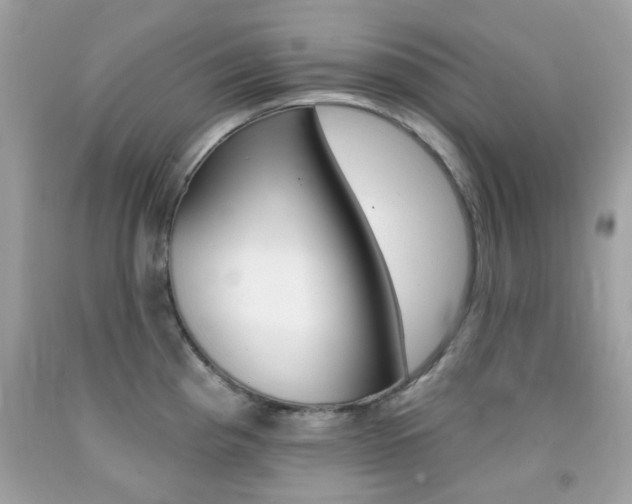 X0000092081193200709121059
