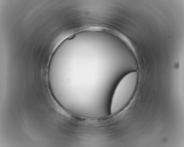 X0000092081194200709121059
