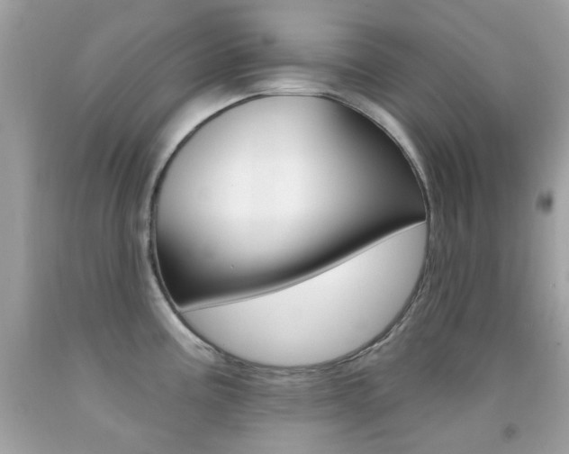 X0000092081195200709121059