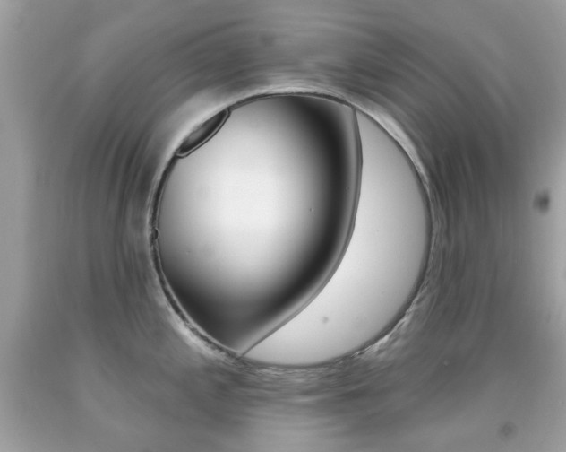 X0000092081197200709121059