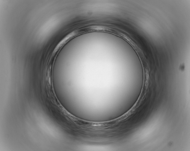 X0000092081198200709121059