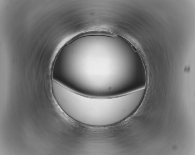 X0000092081200200709121059