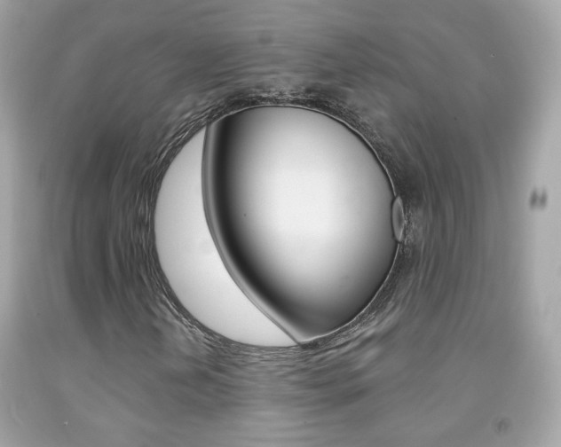 X0000092081202200709121059