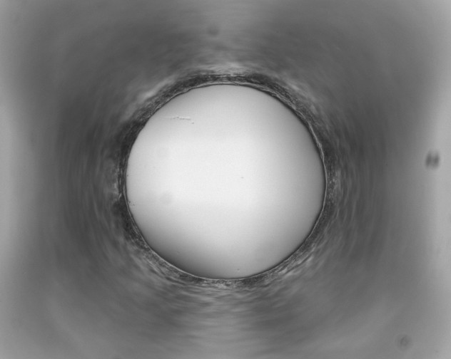 X0000092081205200709121059