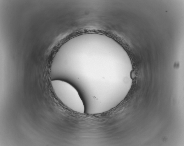 X0000092081207200709121059