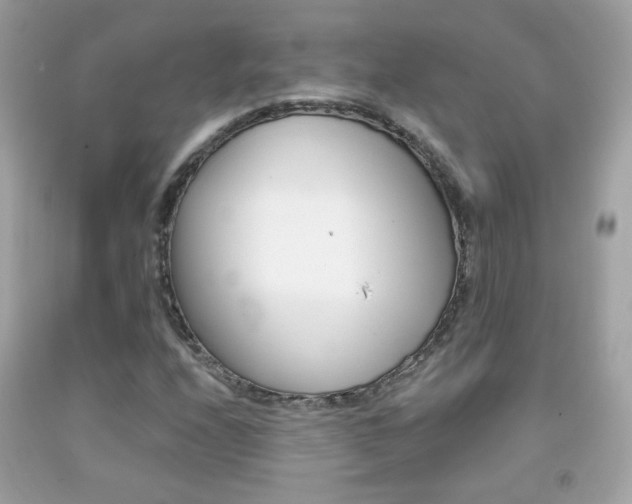 X0000092081208200709121059