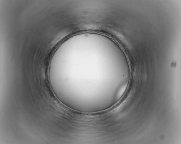X0000092081209200709121059