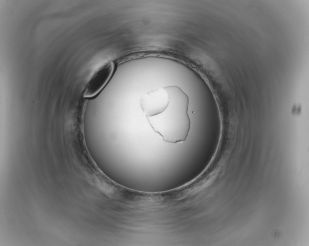 X0000092081210200709121059