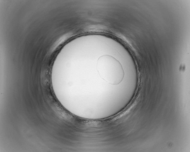 X0000092081211200709121059