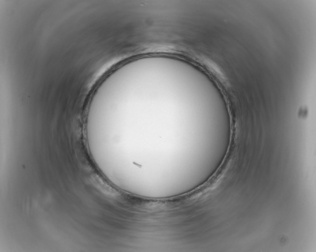 X0000092081212200709121059