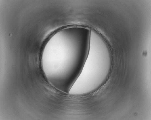 X0000092081214200709121059
