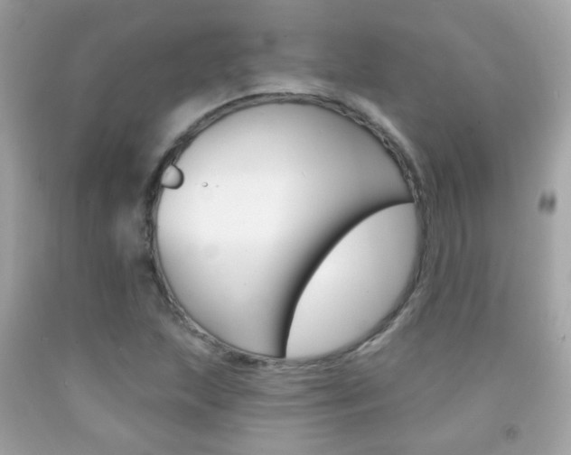 X0000092081215200709121059